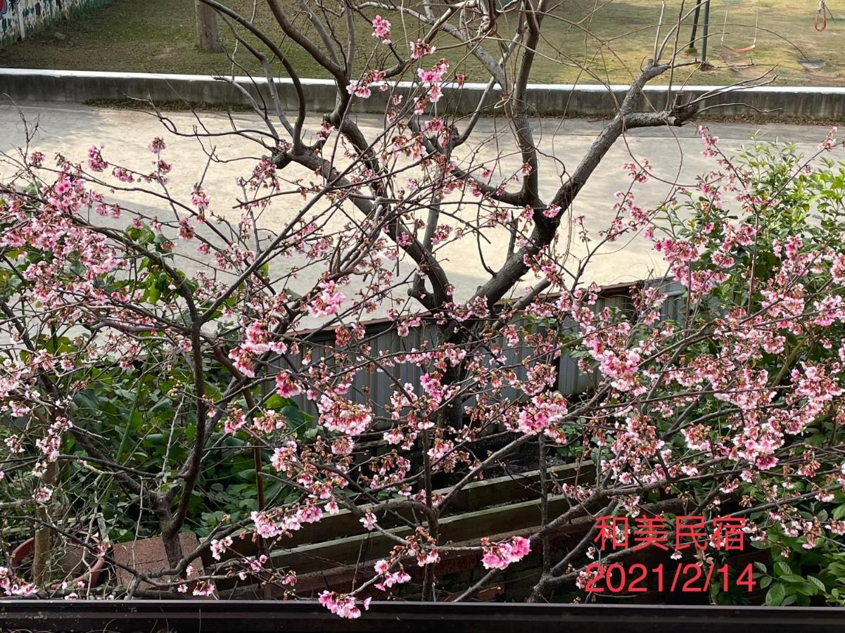 Hemei Homestay Homei 외부 사진