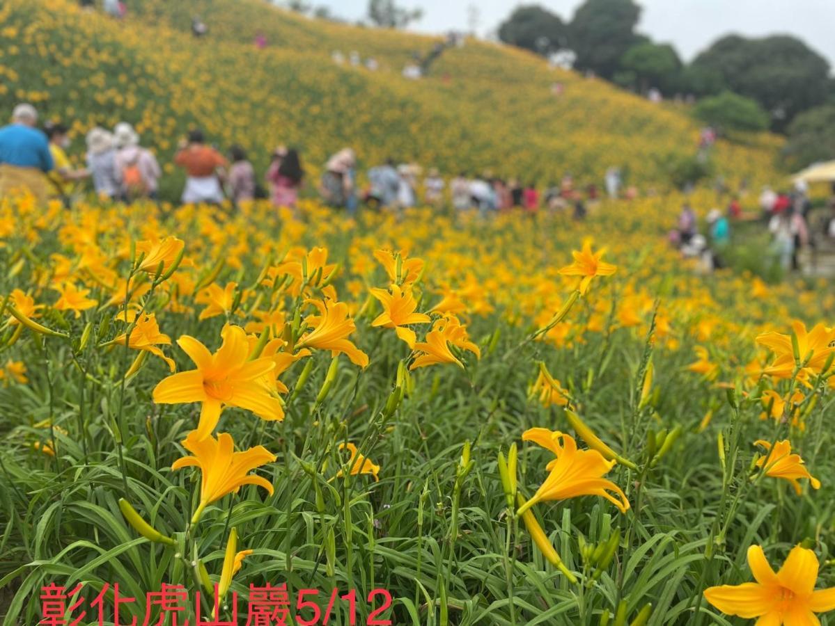 Hemei Homestay Homei 외부 사진