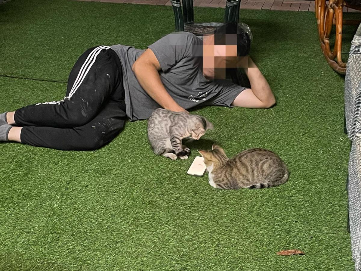 Hemei Homestay Homei 외부 사진