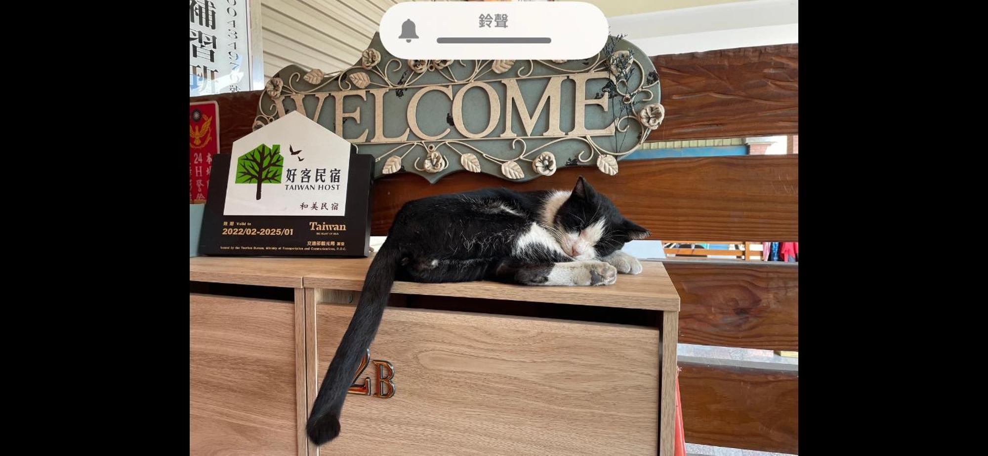 Hemei Homestay Homei 외부 사진