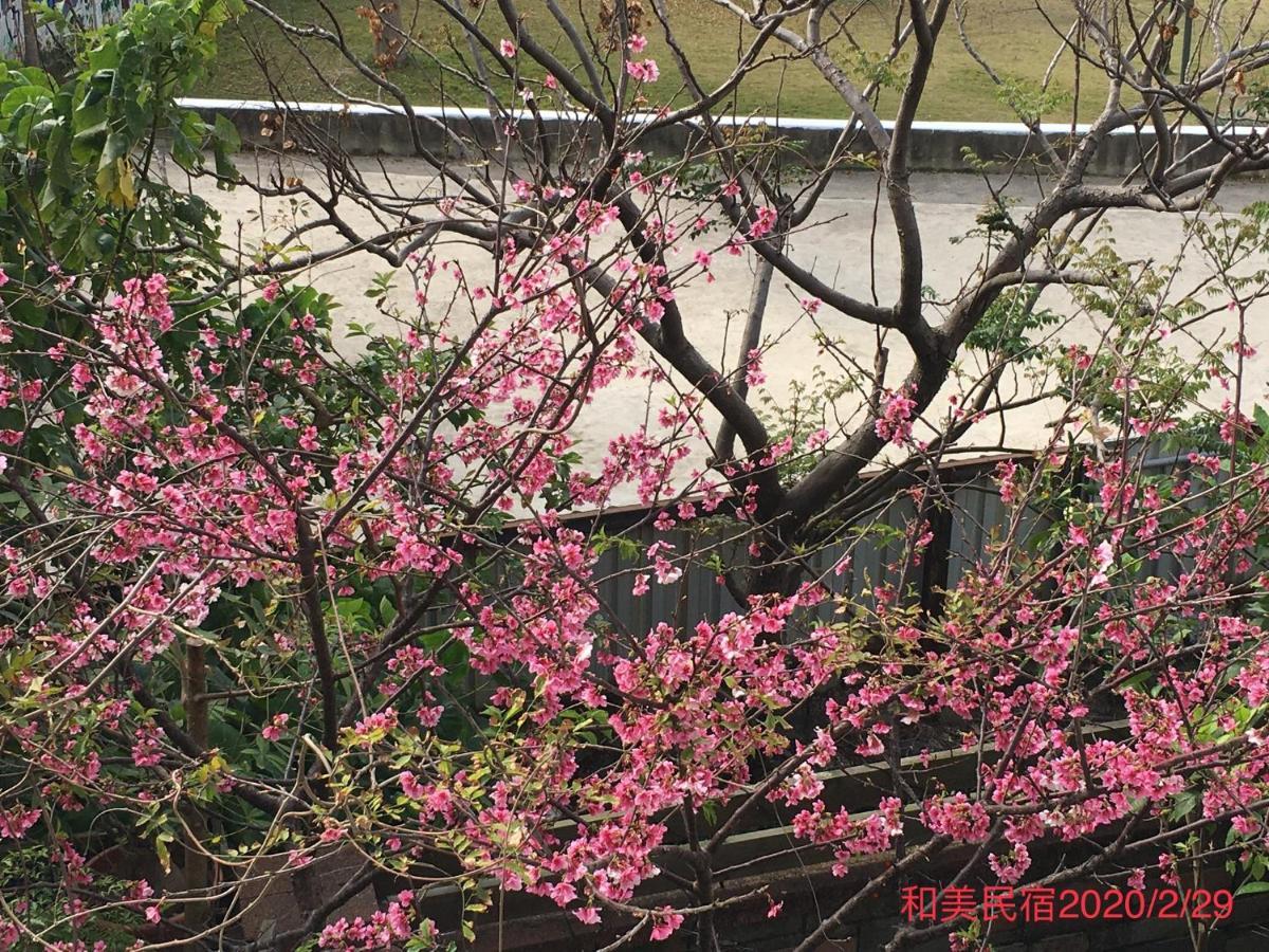 Hemei Homestay Homei 외부 사진